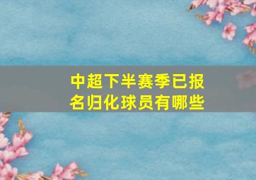 中超下半赛季已报名归化球员有哪些