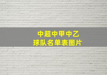 中超中甲中乙球队名单表图片