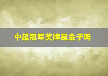 中超冠军奖牌是金子吗