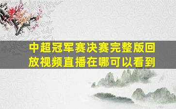 中超冠军赛决赛完整版回放视频直播在哪可以看到