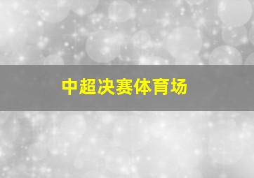 中超决赛体育场