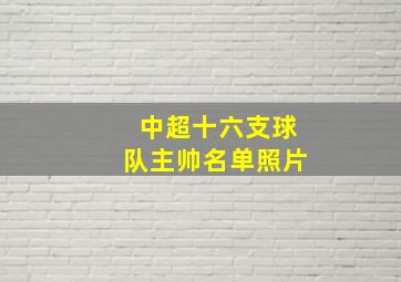 中超十六支球队主帅名单照片