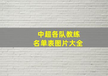 中超各队教练名单表图片大全