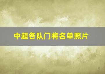 中超各队门将名单照片