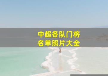 中超各队门将名单照片大全