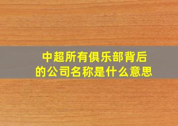 中超所有俱乐部背后的公司名称是什么意思