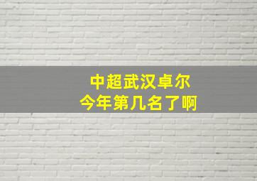 中超武汉卓尔今年第几名了啊