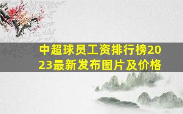 中超球员工资排行榜2023最新发布图片及价格