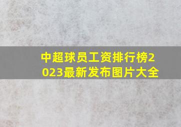 中超球员工资排行榜2023最新发布图片大全