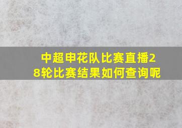 中超申花队比赛直播28轮比赛结果如何查询呢