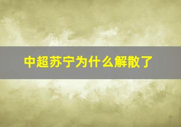 中超苏宁为什么解散了