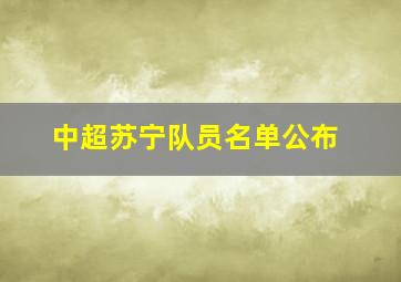 中超苏宁队员名单公布