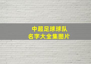 中超足球球队名字大全集图片