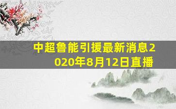 中超鲁能引援最新消息2020年8月12日直播