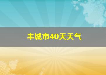 丰城市40天天气