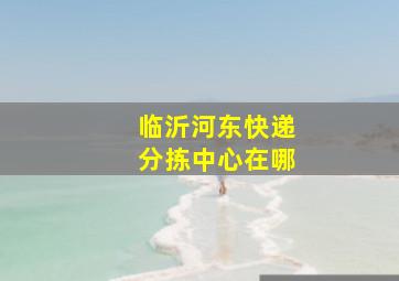 临沂河东快递分拣中心在哪