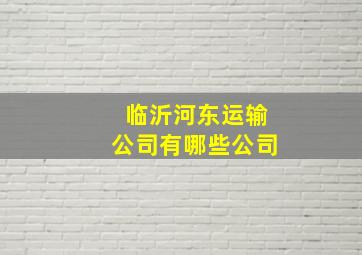 临沂河东运输公司有哪些公司