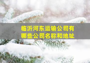 临沂河东运输公司有哪些公司名称和地址