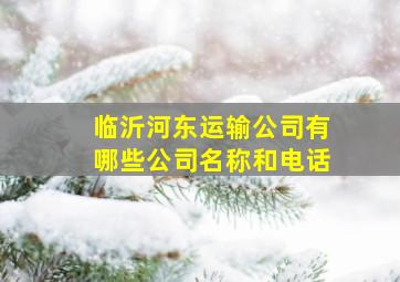 临沂河东运输公司有哪些公司名称和电话