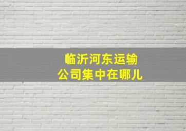 临沂河东运输公司集中在哪儿