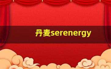 丹麦serenergy