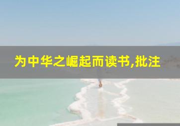 为中华之崛起而读书,批注