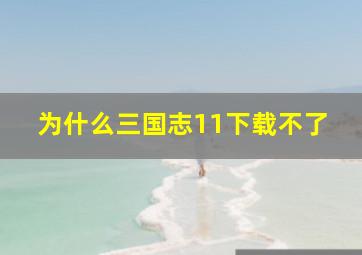 为什么三国志11下载不了