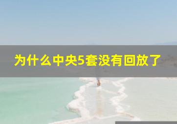 为什么中央5套没有回放了