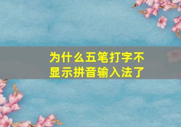 为什么五笔打字不显示拼音输入法了