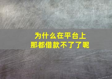 为什么在平台上那都借款不了了呢