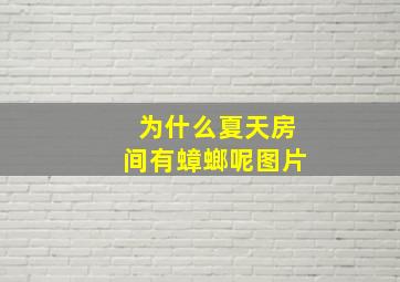 为什么夏天房间有蟑螂呢图片