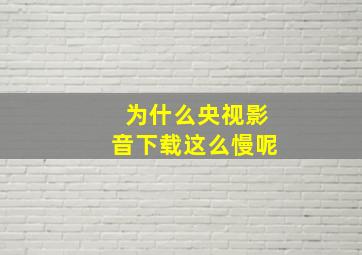 为什么央视影音下载这么慢呢