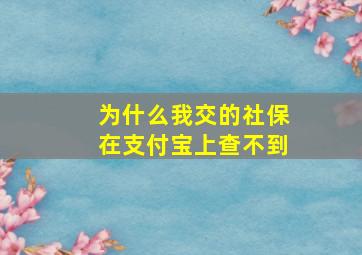 为什么我交的社保在支付宝上查不到