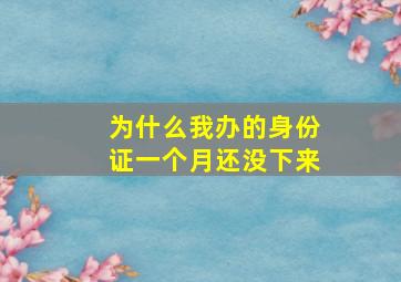 为什么我办的身份证一个月还没下来