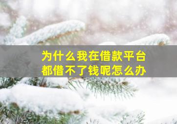 为什么我在借款平台都借不了钱呢怎么办