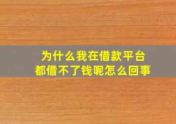 为什么我在借款平台都借不了钱呢怎么回事