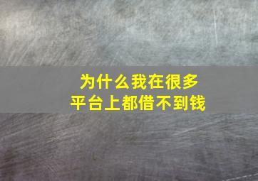 为什么我在很多平台上都借不到钱