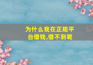 为什么我在正规平台借钱,借不到呢