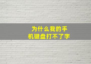 为什么我的手机键盘打不了字