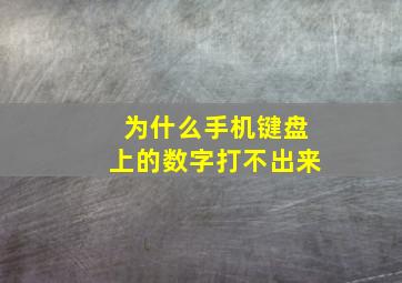 为什么手机键盘上的数字打不出来