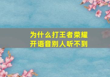 为什么打王者荣耀开语音别人听不到