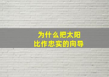 为什么把太阳比作忠实的向导