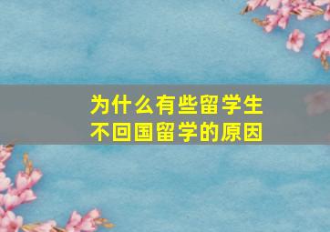 为什么有些留学生不回国留学的原因