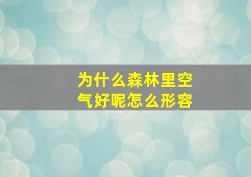 为什么森林里空气好呢怎么形容