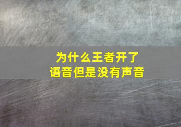 为什么王者开了语音但是没有声音