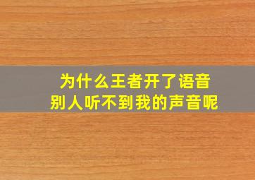 为什么王者开了语音别人听不到我的声音呢