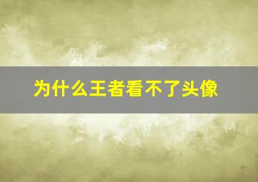 为什么王者看不了头像