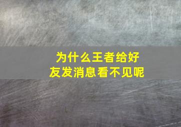 为什么王者给好友发消息看不见呢