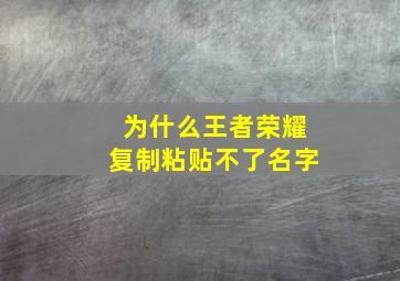 为什么王者荣耀复制粘贴不了名字