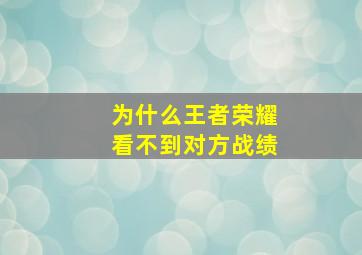 为什么王者荣耀看不到对方战绩